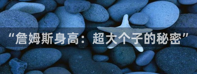 “詹姆斯身高：超大个子的秘密”