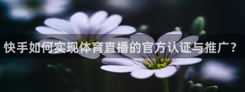 快手如何实现体育直播的官方认证与推广？
