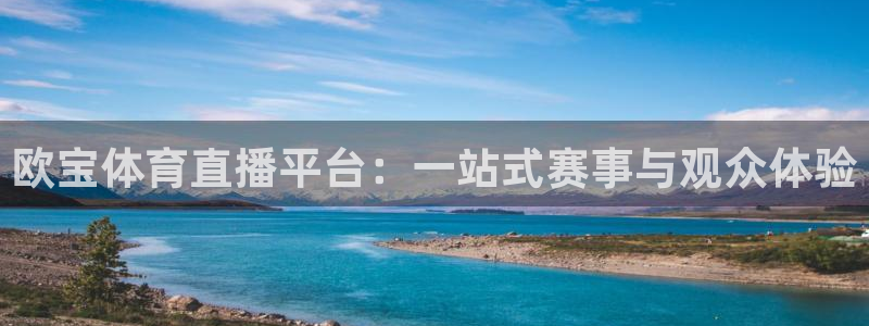 欧宝体育直播平台：一站式赛事与观众体验