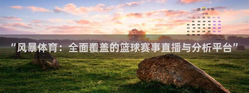 “风暴体育：全面覆盖的篮球赛事直播与分析平台”