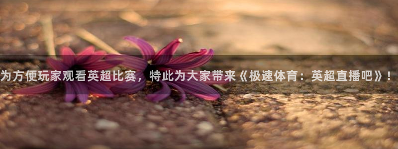 为方便玩家观看英超比赛，特此为大家带来《极速体育：英超直播吧》！