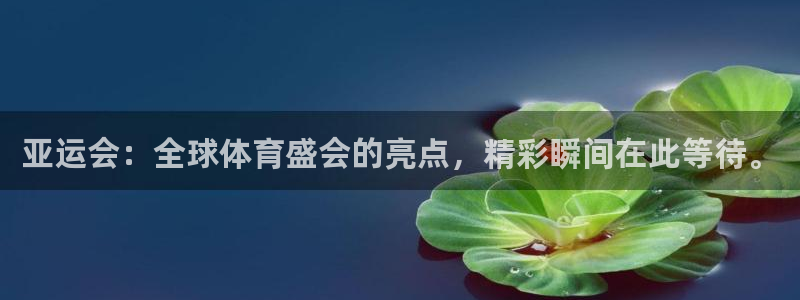 亚运会：全球体育盛会的亮点，精彩瞬间在此等待。