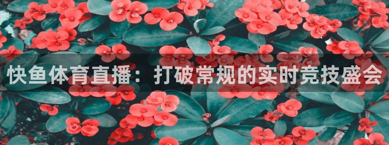 快鱼体育直播：打破常规的实时竞技盛会