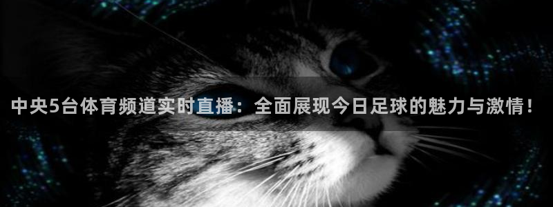 中央5台体育频道实时直播：全面展现今日足球的魅力与激情！