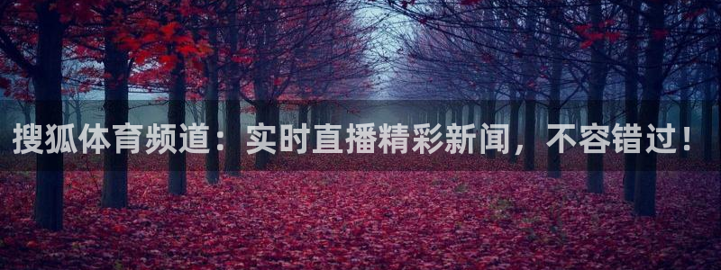 搜狐体育频道：实时直播精彩新闻，不容错过！