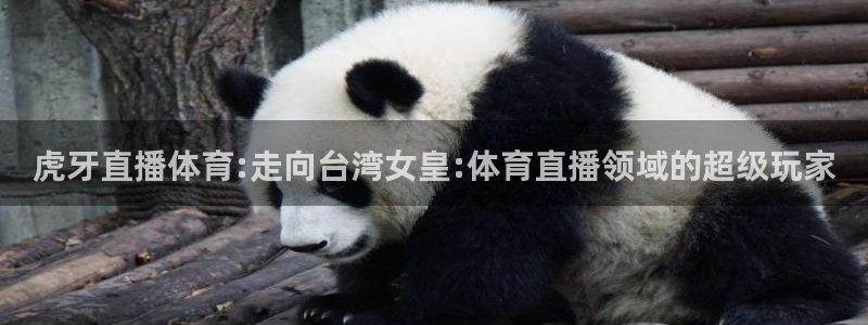 虎牙直播体育:走向台湾女皇:体育直播领域的超级玩家